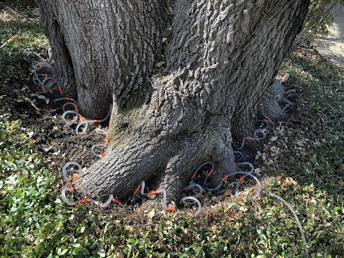 Detailed Shrub and Hedge Trimming job site in Vinita