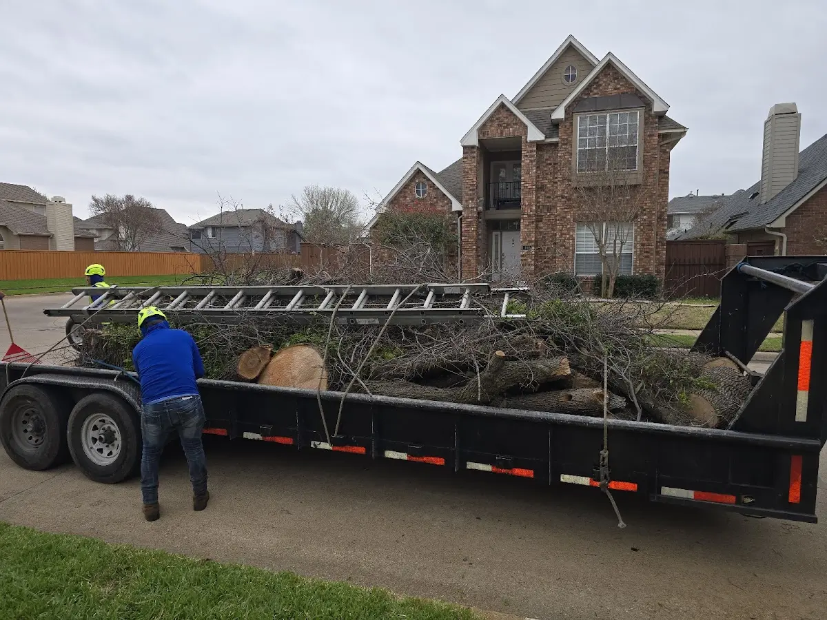 Expert Tree Fertilization with proper safety equipment in Vinita